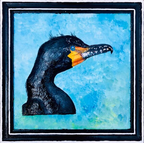 LE CORMORAN DU LAC KIVU - AndemaPencil