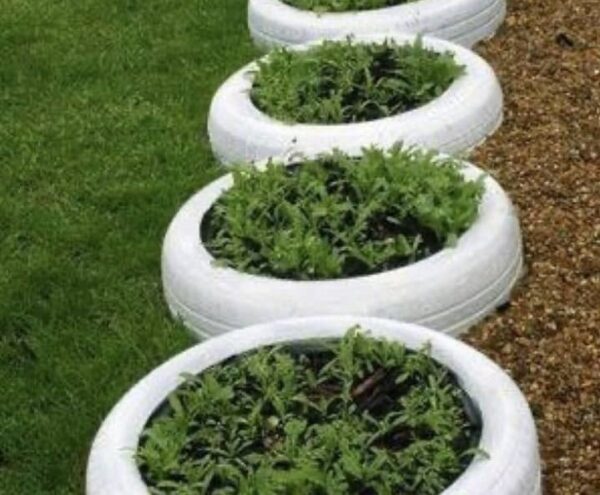 Pot en Pneu Recyclé Peint en Blanc 1 pce - Kivu Innova (Bukavu)